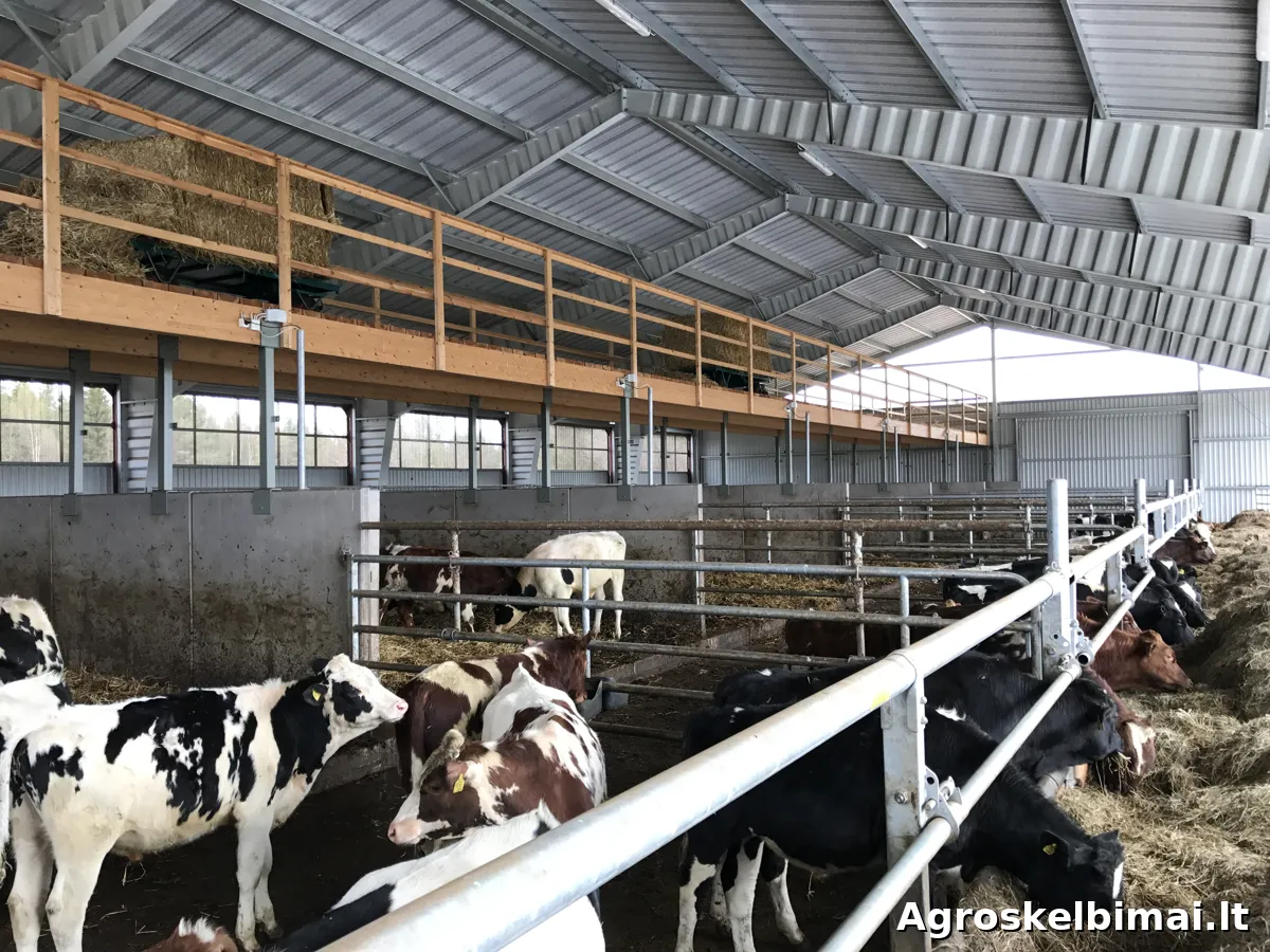 Fermos, angarai gyvuliams, paukščiams | Borga - Statybinės medžiagos nuotrauka 4