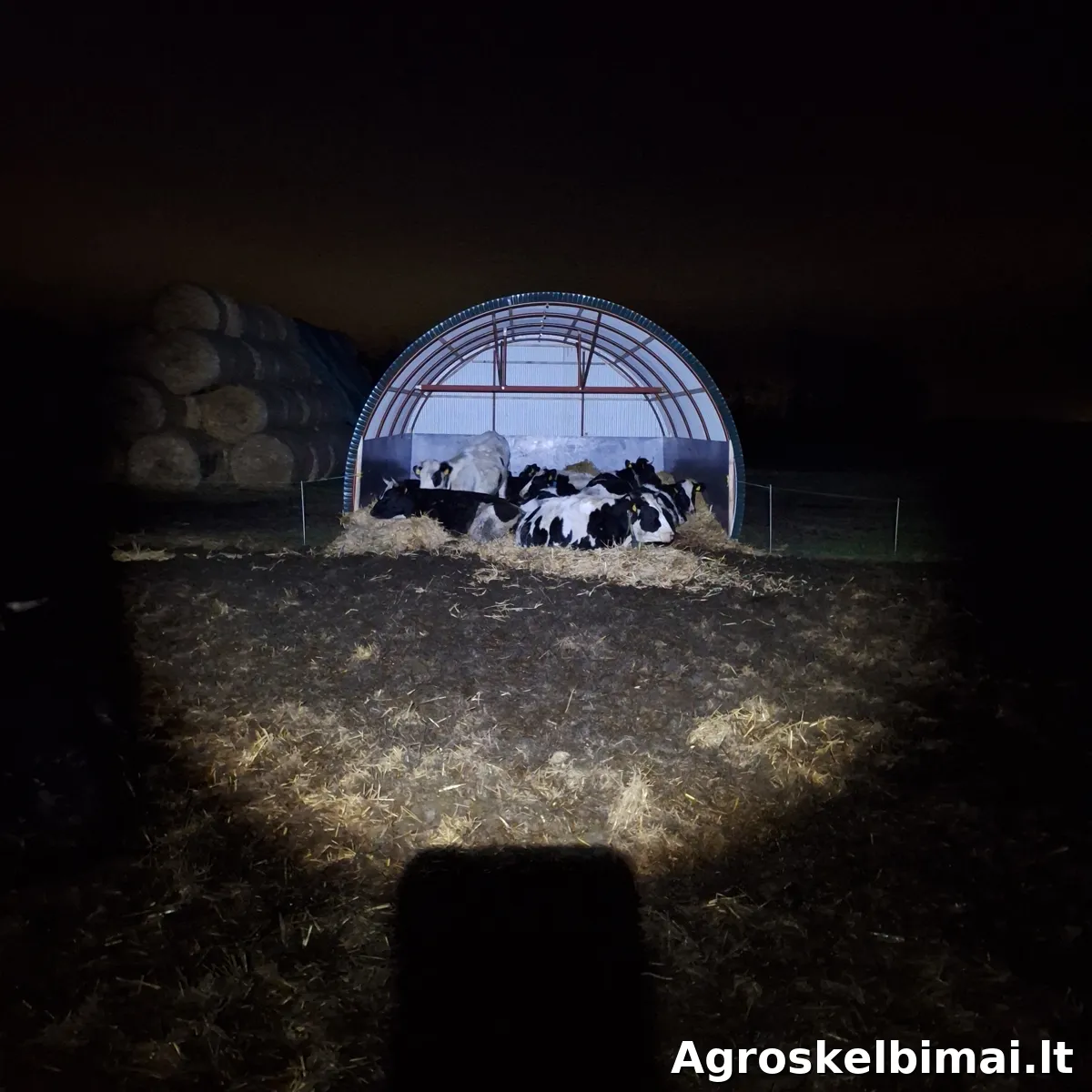 Kilnojama pastogė gyvuliams - Statybinės medžiagos nuotrauka 2