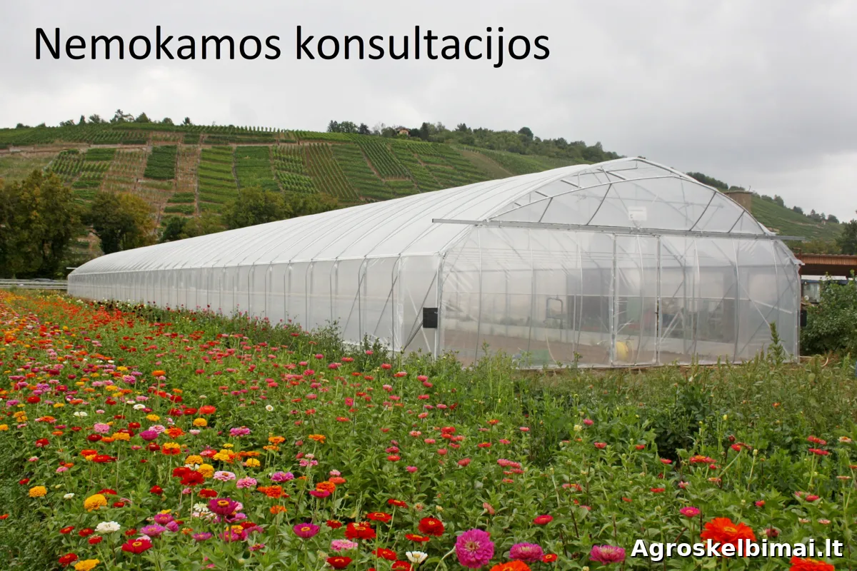 Europrogress – Itališki Pramoniniai Šiltnamiai - Statybinės medžiagos, Šiauliai
