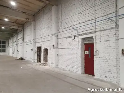 Patalpų plovimas ir balinimas (dažymas) - Remontas ir apdaila