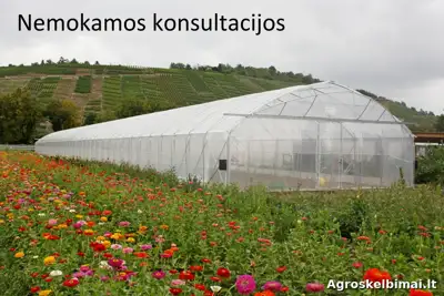 Europrogress – Itališki Pramoniniai Šiltnamiai - Statybinės medžiagos