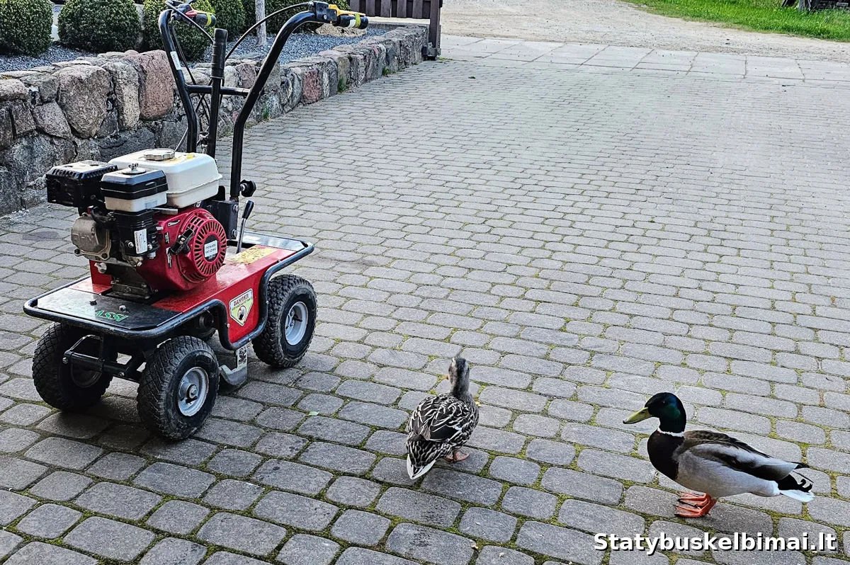 Velėnos rėžtuvo (nuėmėjo) nuoma | Honda GX200 - Nuoma nuotrauka 3